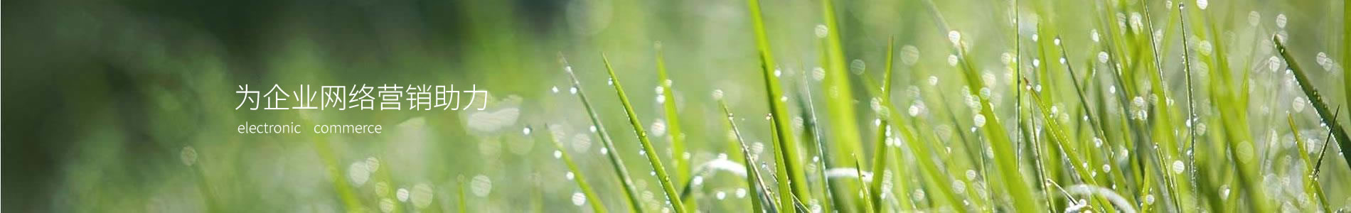 շشƼ޹˾